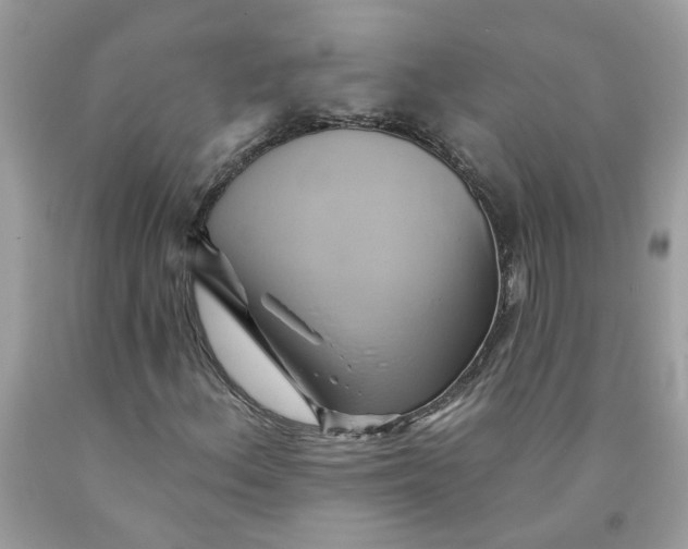 X0000091591156200709101034