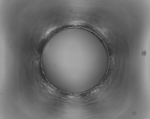 X0000091591158200709101034