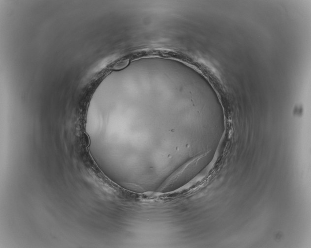 X0000091591159200709101034