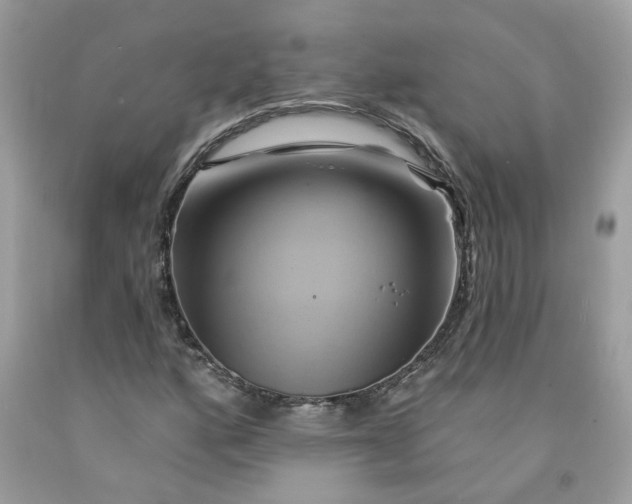 X0000091591160200709101034