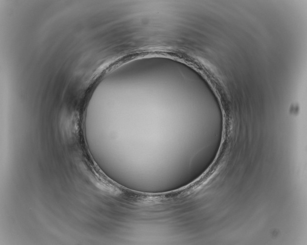 X0000091591161200709101034