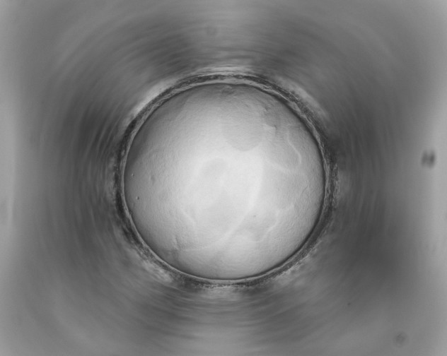 X0000091591162200709101034