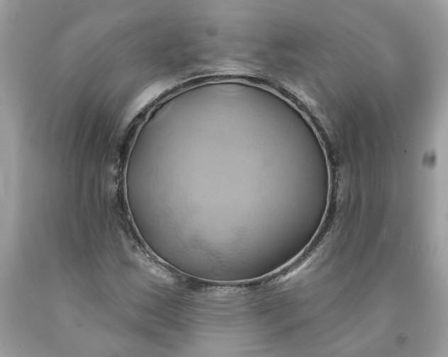 X0000091591163200709101034