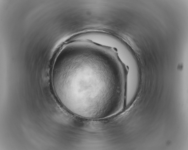 X0000091591164200709101034