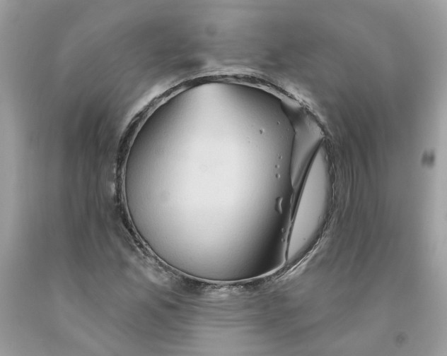 X0000091591165200709101034