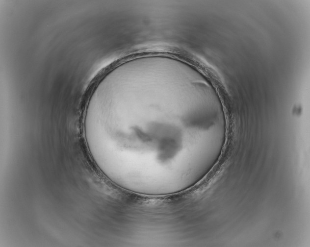 X0000091591166200709101034