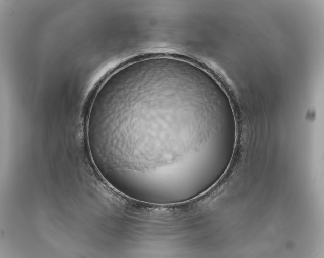 X0000091591167200709101034