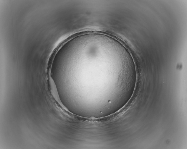 X0000091591168200709101034