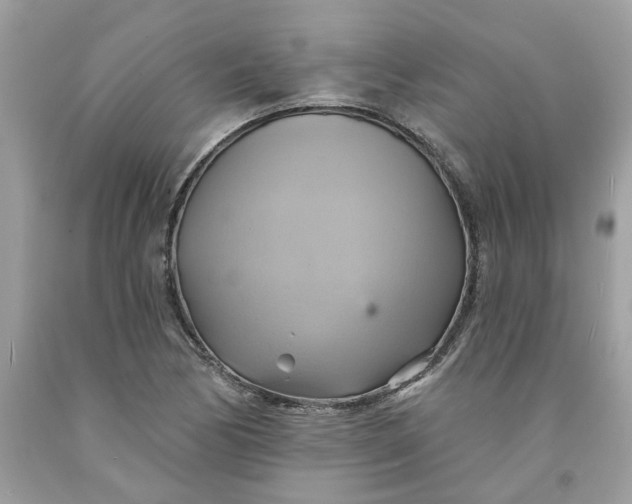 X0000091591170200709101034