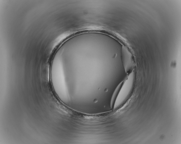 X0000091591171200709101034