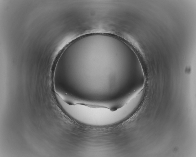 X0000091591173200709101034