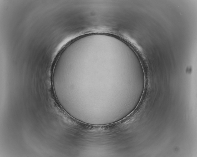 X0000091591174200709101034