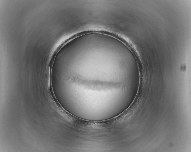 X0000091591175200709101034