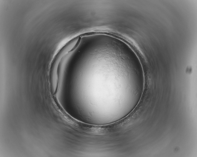 X0000091591176200709101034