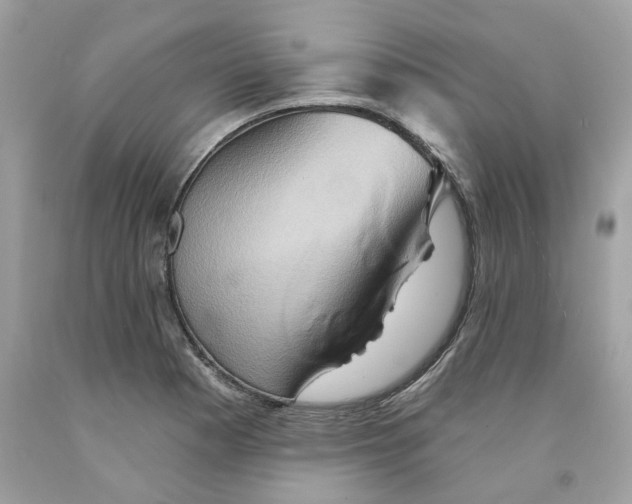 X0000091591177200709101034