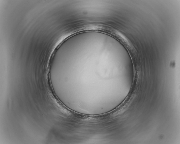 X0000091591178200709101034