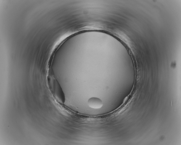 X0000091591179200709101034