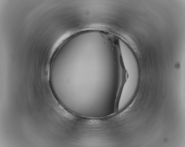 X0000091591180200709101034