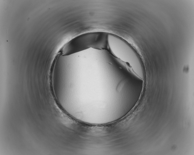 X0000091591181200709101034