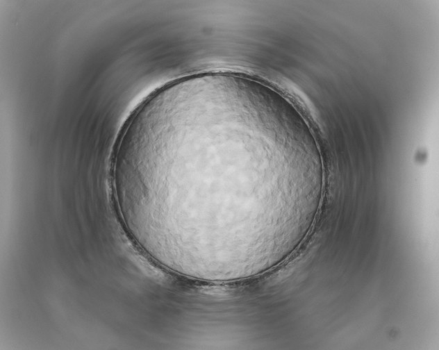 X0000091591182200709101034