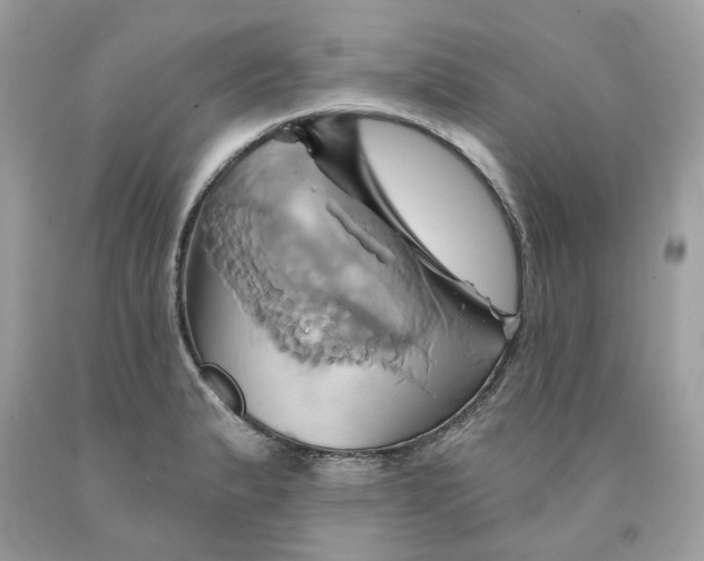 X0000091591183200709101034