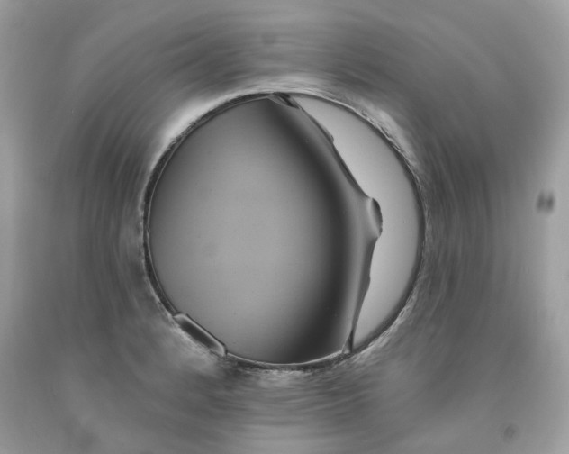 X0000091591184200709101034