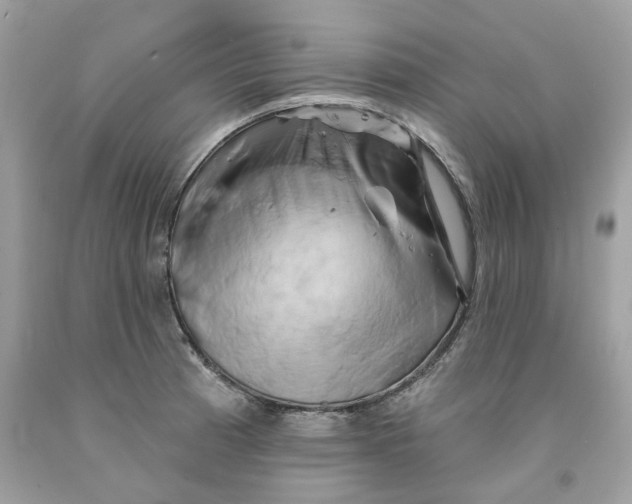 X0000091591185200709101034