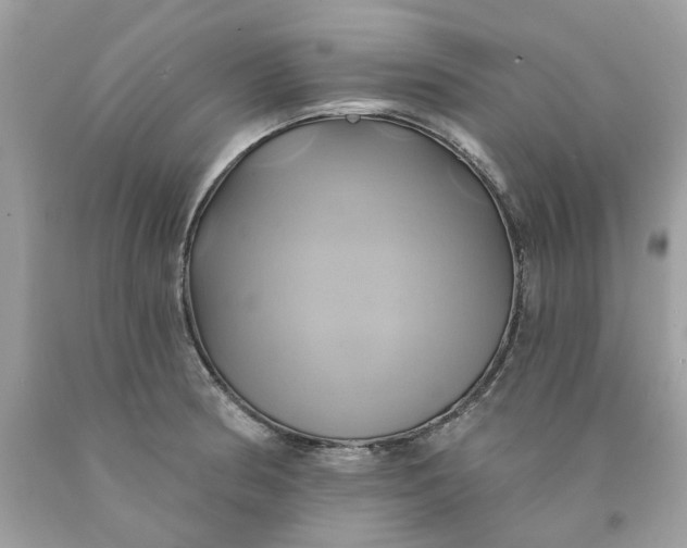 X0000091591186200709101034