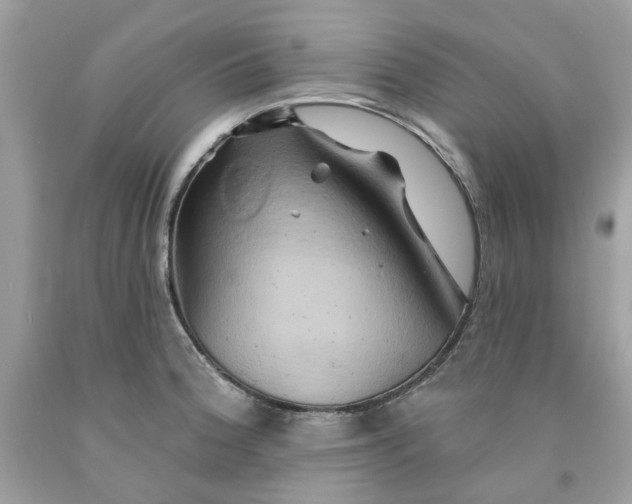 X0000091591188200709101034