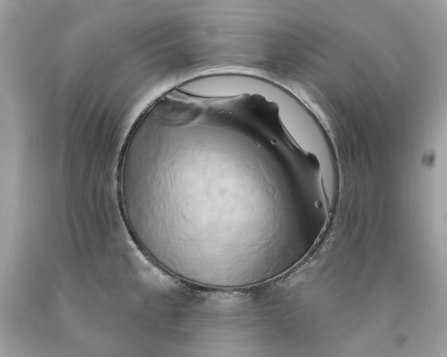 X0000091591189200709101034