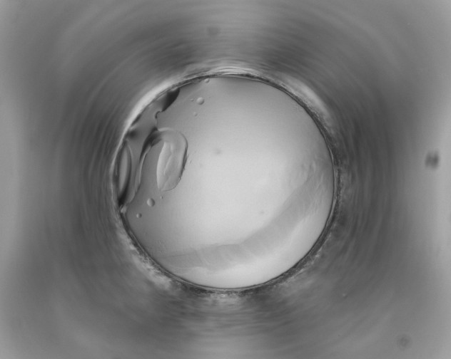 X0000091591190200709101034