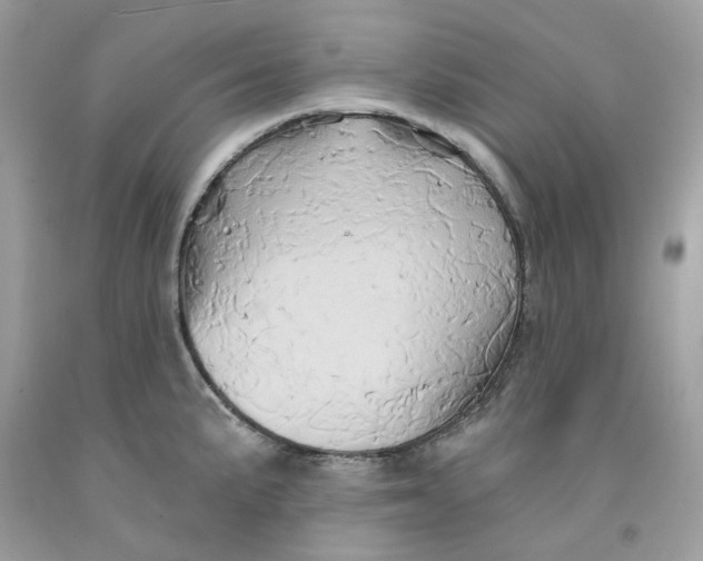 X0000091591191200709101034