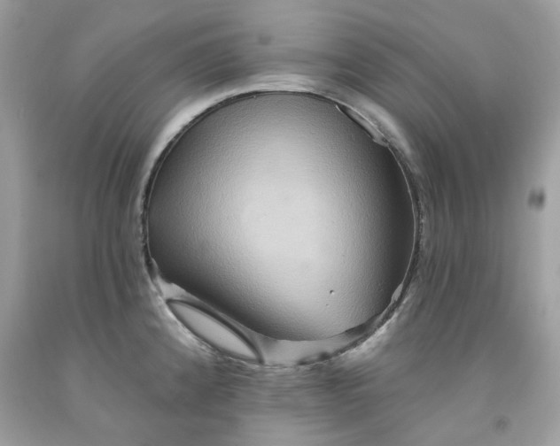 X0000091591192200709101034