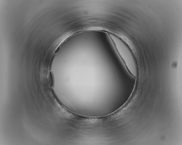 X0000091591193200709101034