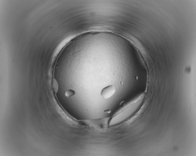 X0000091591196200709101034