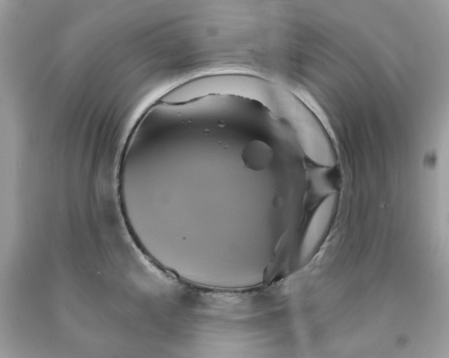 X0000091591197200709101034