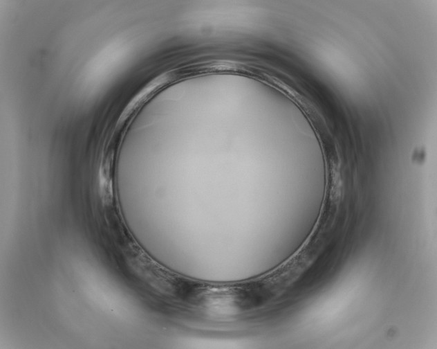 X0000091591198200709101034