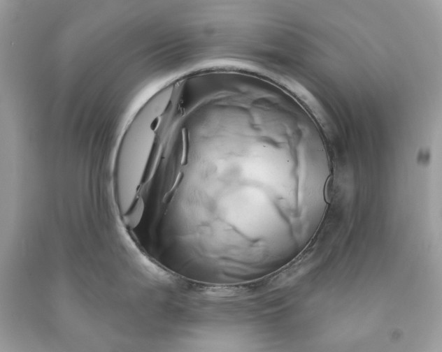 X0000091591199200709101034