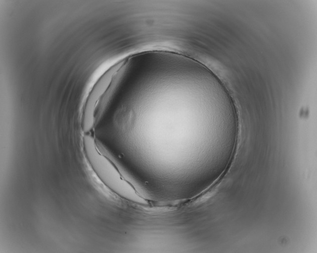 X0000091591200200709101034