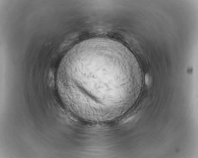 X0000091591203200709101033