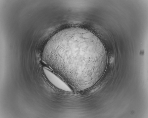 X0000091591204200709101033