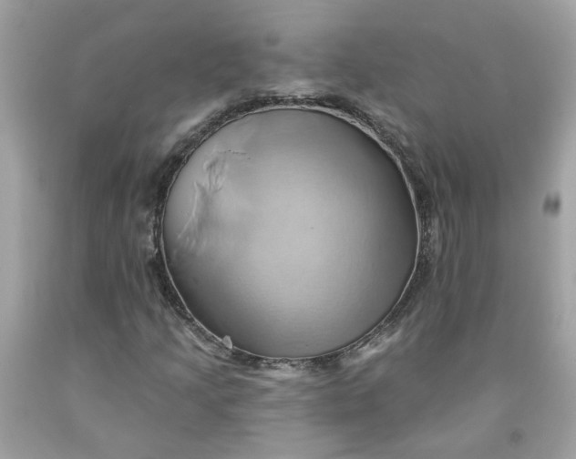 X0000091591205200709101033