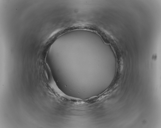 X0000091591206200709101033