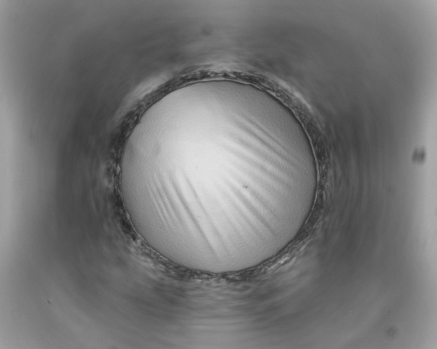 X0000091591207200709101033