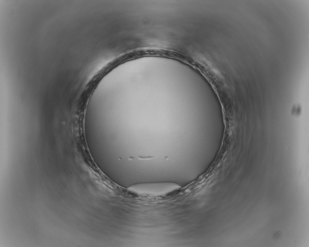 X0000091591208200709101033