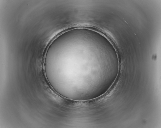 X0000091591212200709101033