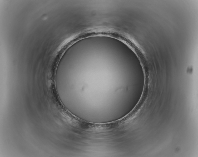 X0000091591213200709101033