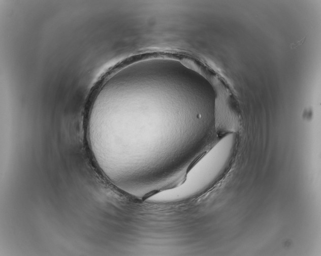 X0000091591214200709101033