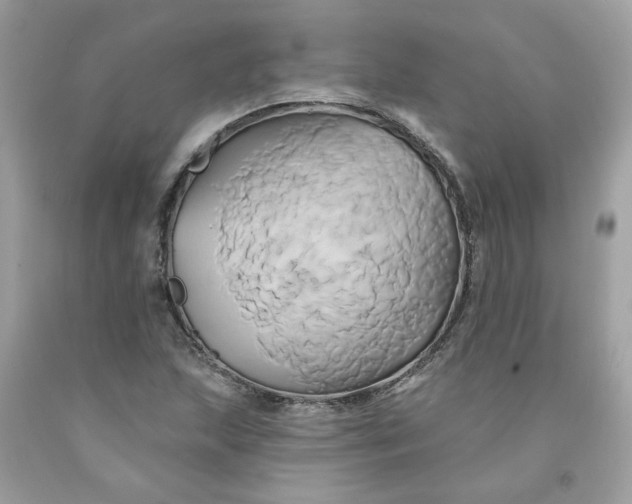 X0000091591215200709101033