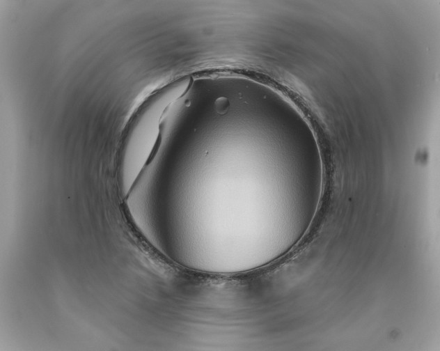 X0000091591218200709101033